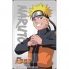 NARUTO SHIPPUDEN ICASH 2.0 CARD